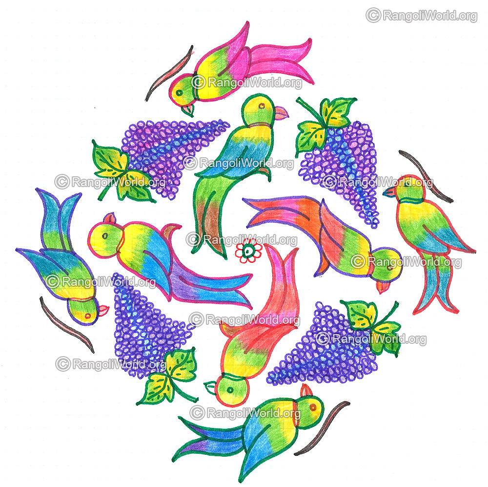 Parrot and grapes kolam nov 2015