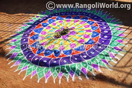 Freehand flower rangoli for diwali 2016