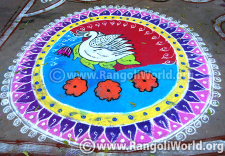 Swan rangoli design diwali festival 2016