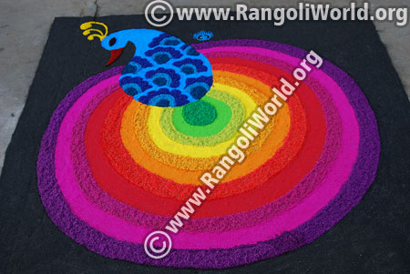 Rainbow peacock rangoli jan 2016 festival