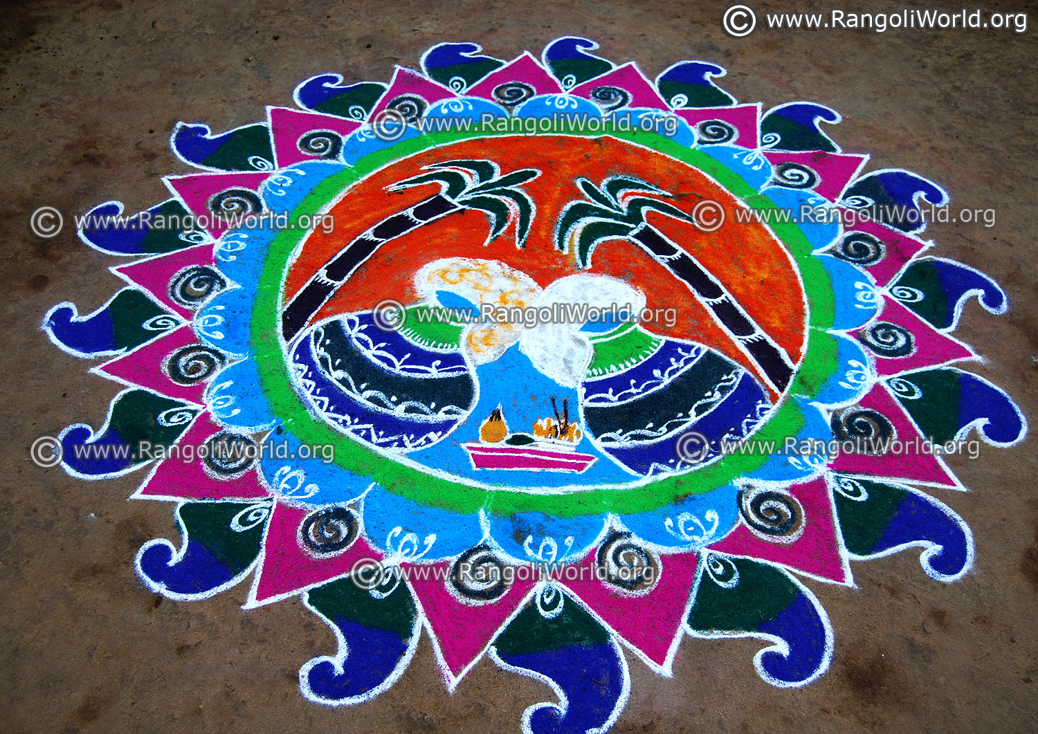 Pongal rangoli | Rangoli designs images, Rangoli designs, Outdoor ...