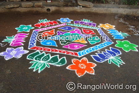 Beautiful lotus kolam aug2014