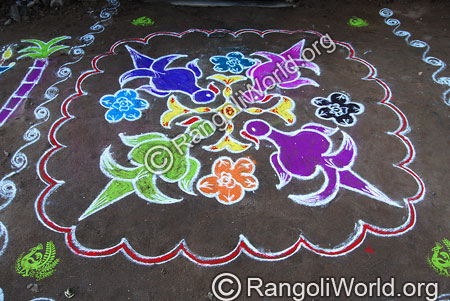 Simple parrot kolam aug2014
