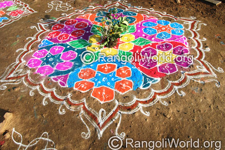 Star kolam aug2014