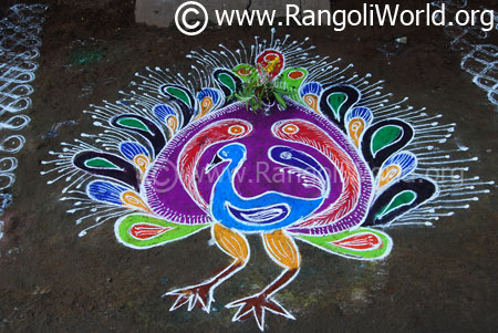 Peacock rangoli 2017