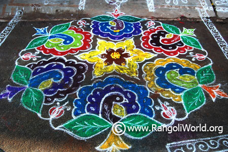 Peacock rangoli kolam 2017