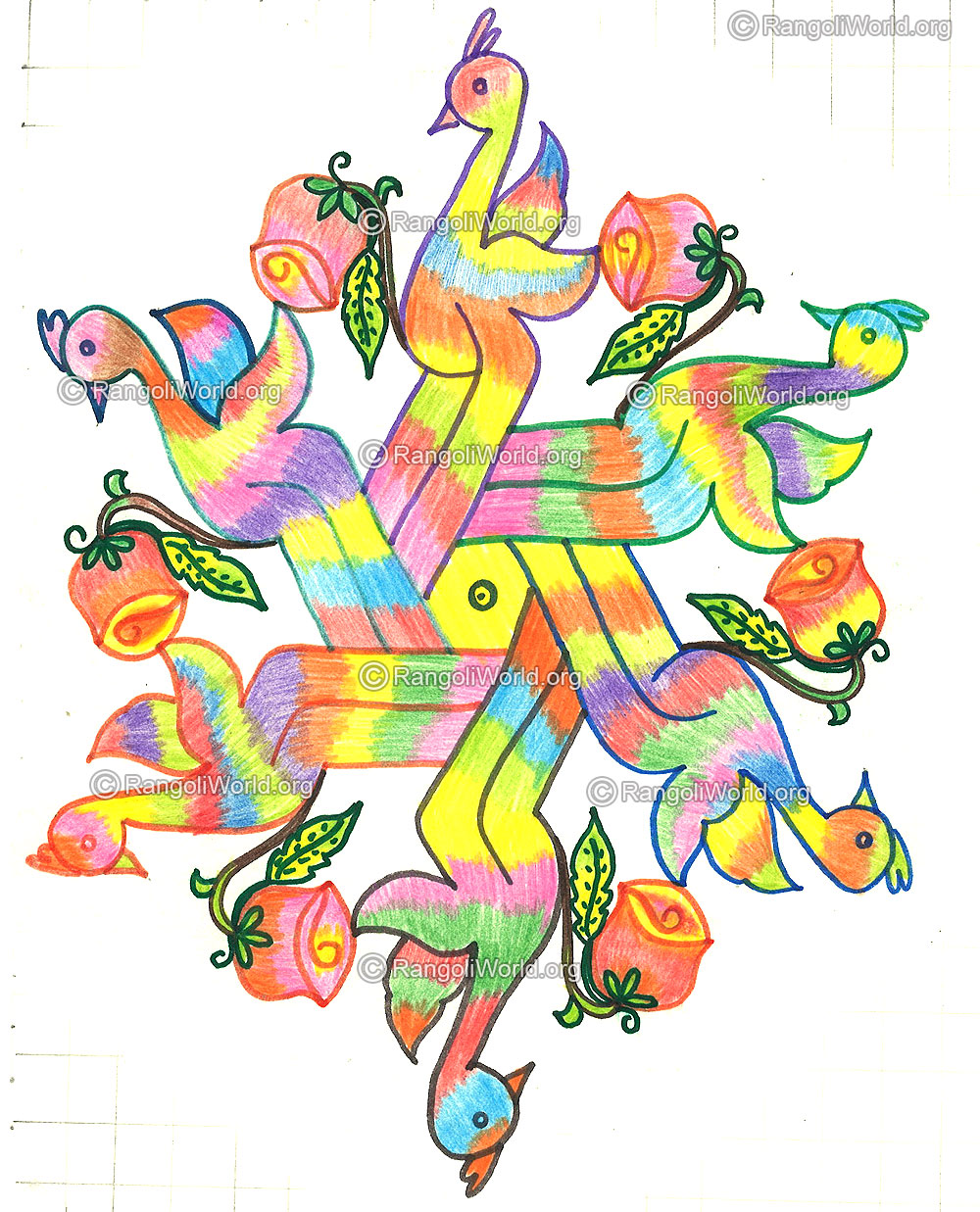Peacock bird and rose kolam nov 2015