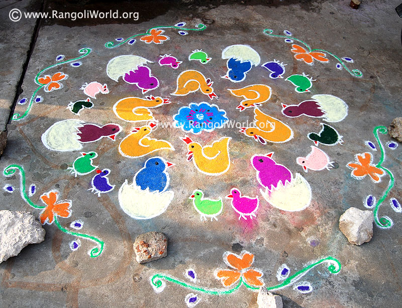 chicken little kolam