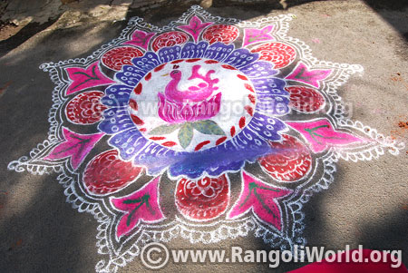 Sunflower rangoli design jan 2016