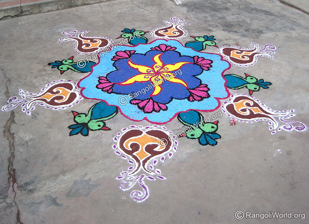 Parrot Rangoli Jan 12 09