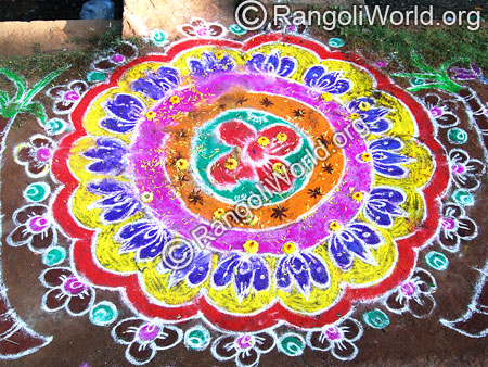 Lotus Rangoli