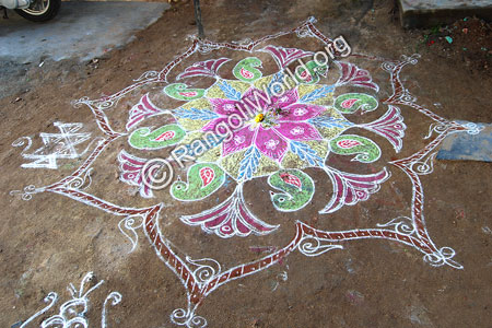 Swan Bird Rangoli