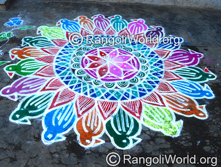 Double stroke bird freehand rangoli for festival feb