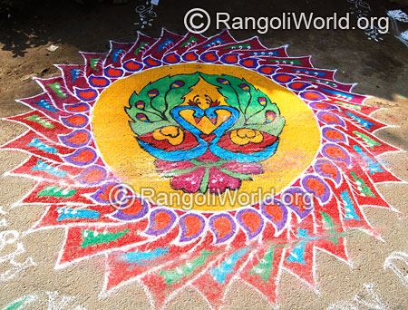 Peacock freehand rangoli for festival mar