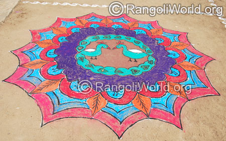 Peacock love theme big freehand rangoli mar