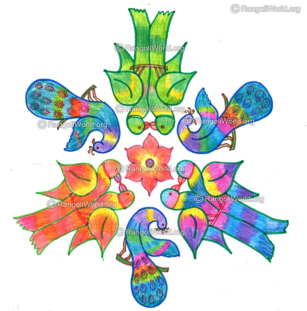 Parrots in love and peacock kolam margazhi dec jan 2016
