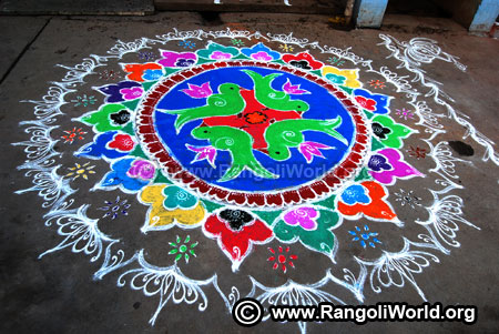 Parrot lotus rangoli design 2019 new year