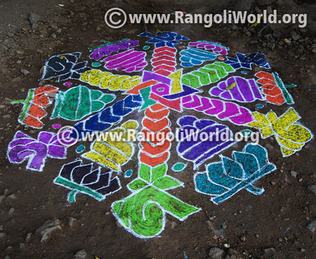 Lotus snail sangu kolam rangoli jan 15 2016