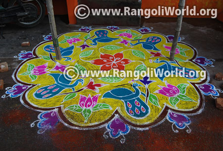 Peacock and lotus flowers rangoli 2016