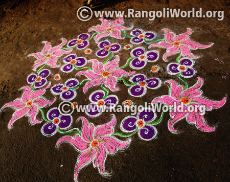 Pink and purple flowers rangoli jan 15 2016