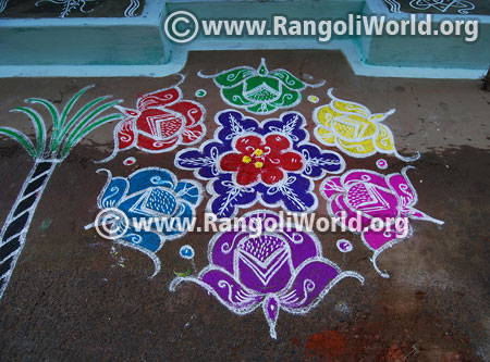 Rose flower rangoli for thai pongal festival 2016