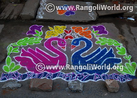Swan and butterfly rangoli 2016