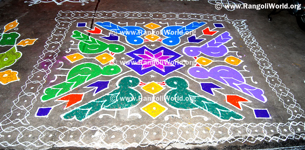 Dove bird rangoli Kolam with sikku kolam border