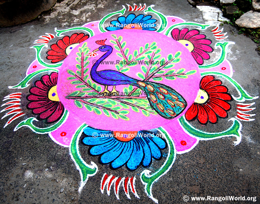 Peacock Rangoli Jan 2014 with flowers and tree