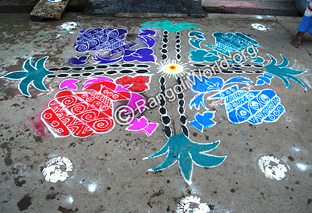 Pongal Theme Pulli Kolam with sugar cane