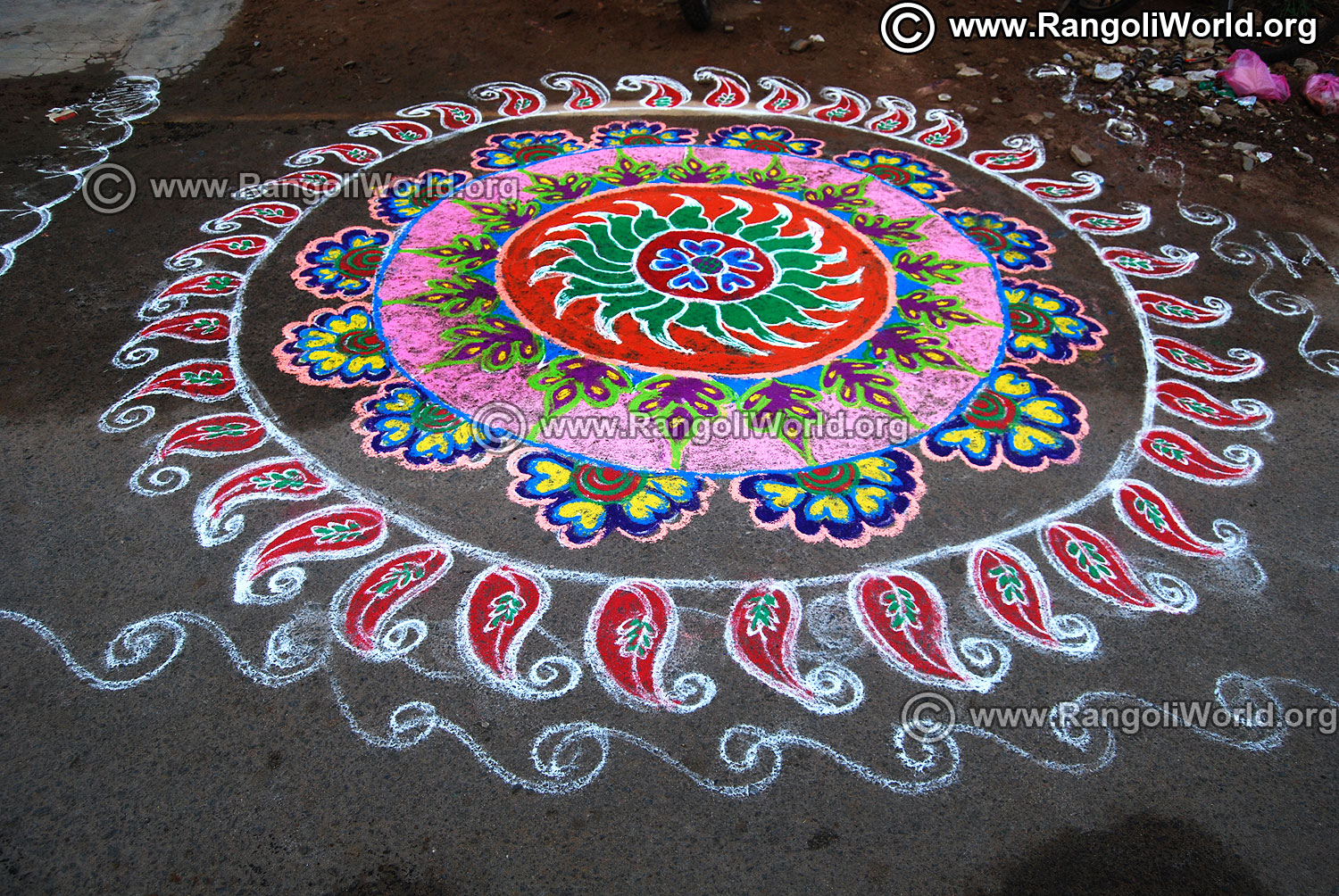 Pongal rangoli designs 2019 collection-3