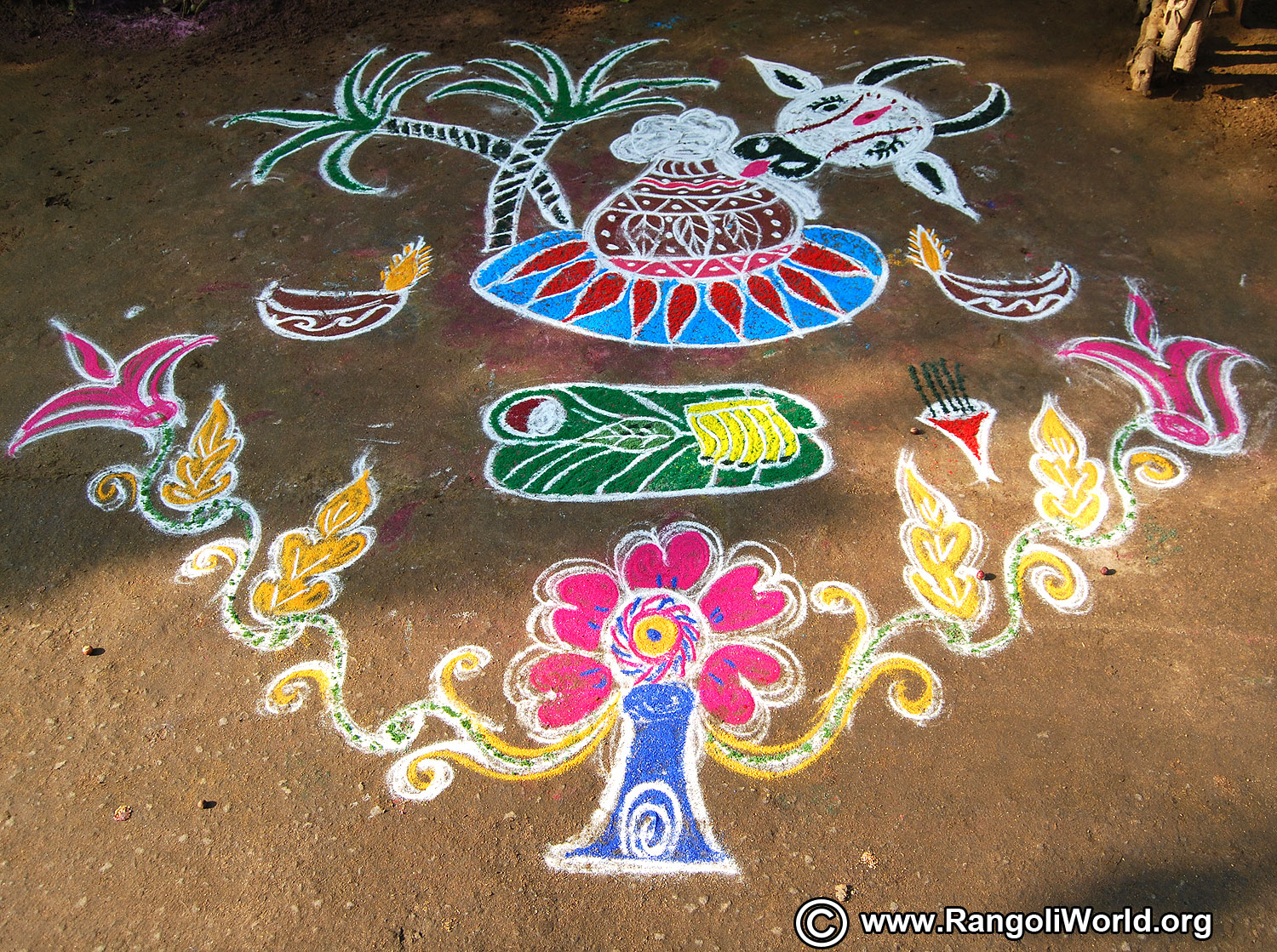 Pongal rangoli designs 2019 collection-2