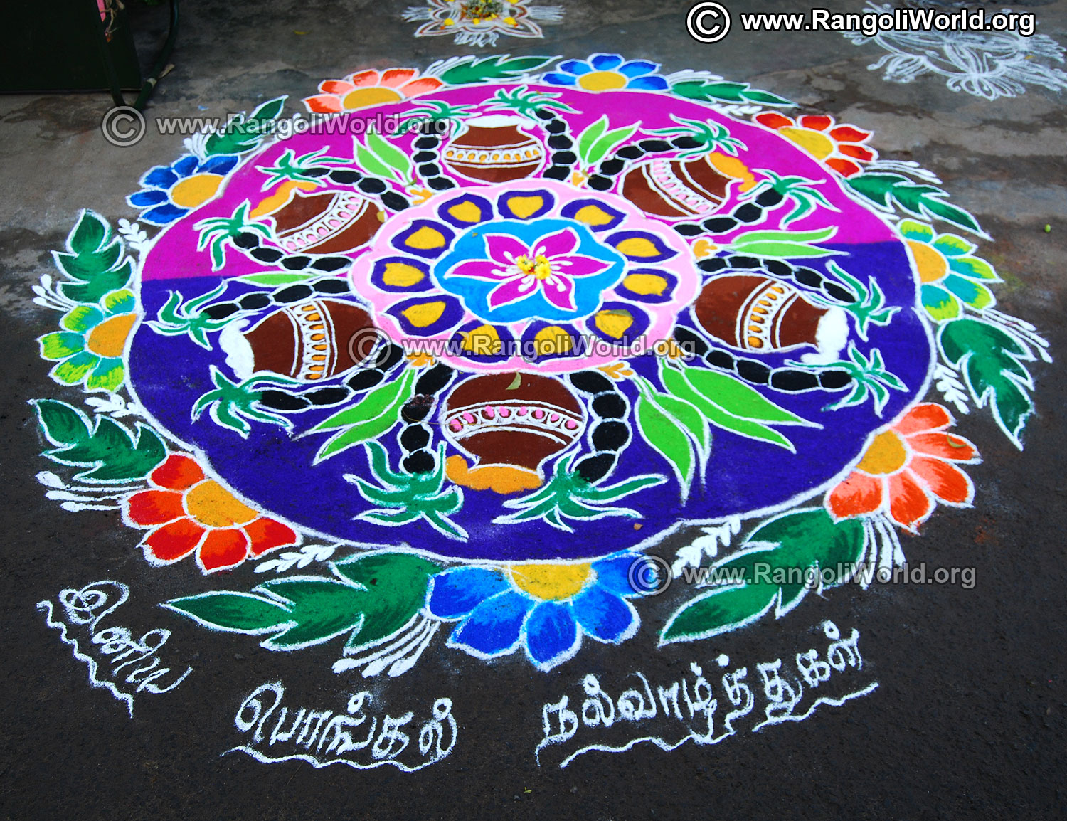 Pongal rangoli designs 2019 collection