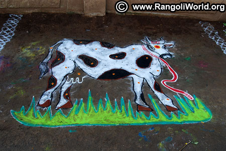 Maattu pongal freehand rangoli design 2019