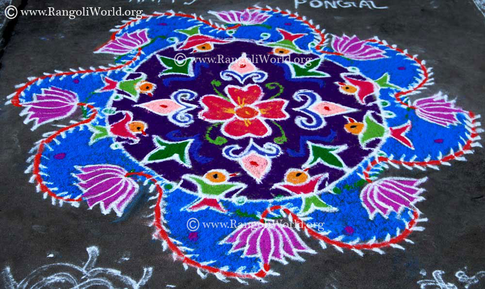pongal rangoli