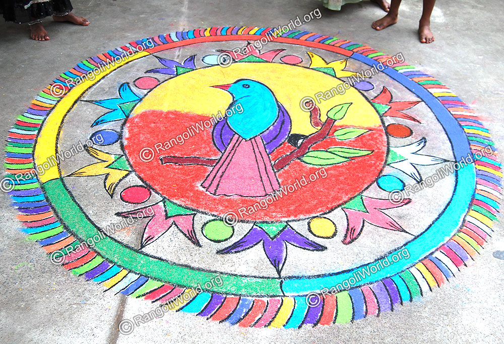Pigeon Rangoli